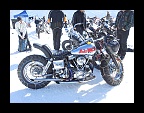 Harley & Snow 2013 (105)